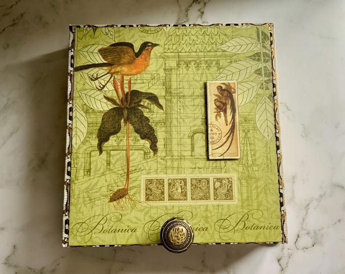 Botanica Cigar Box with Bird & Floral Art – Decorative Keepsake Box, Upcycled Storage, Nature Gift, Vintage-Inspired Home Decor, Botanical
