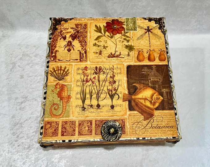 Coastal Botanical Keepsake, Seahorse Fish Jewelry Memory Box, Handmade Decorated Cigar Box