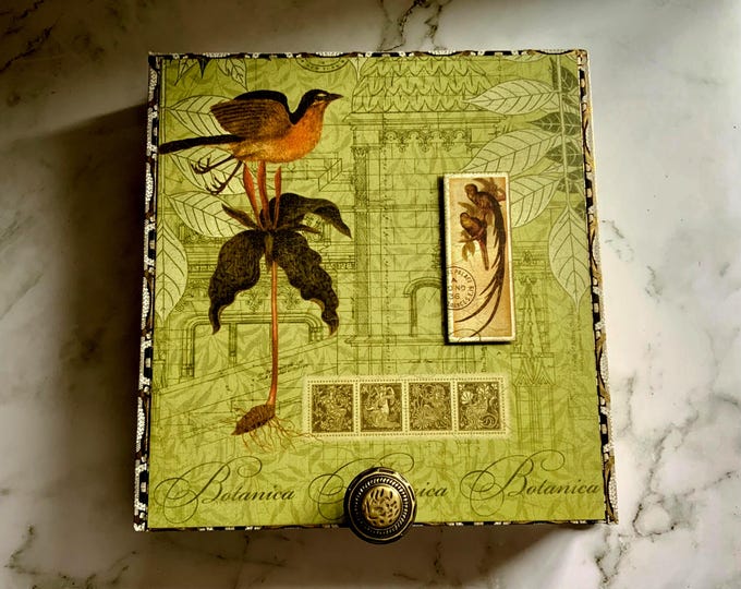 Botanica Cigar Box with Bird & Floral Art – Decorative Keepsake Box, Upcycled Storage, Nature Gift, Vintage-Inspired Home Decor, Botanical