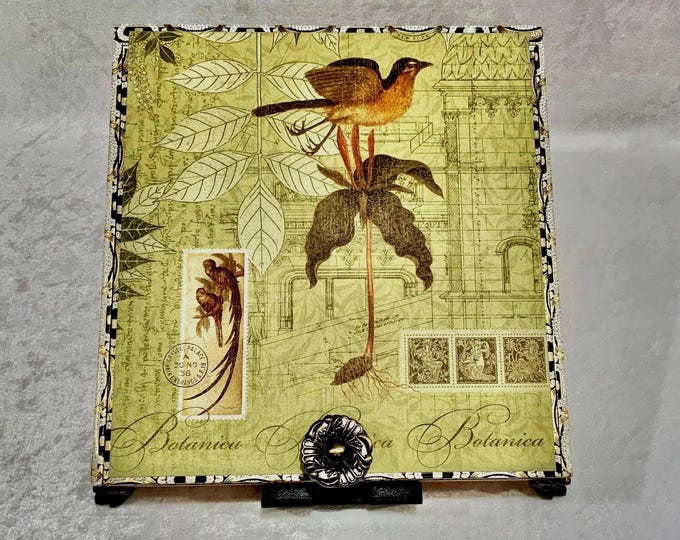 Botanica Cigar Box with Bird & Floral Art – Decorative Keepsake Box, Upcycled Storage, Nature Gift - Free Shipping