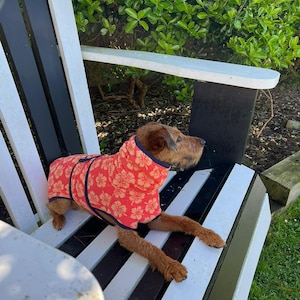 Könnte beinhalten: Ein kleiner brauner Hund, der einen roten und orangefarbenen Pullover mit Blumenmuster trägt, sitzt auf einer weiß-schwarz gestreiften Bank.