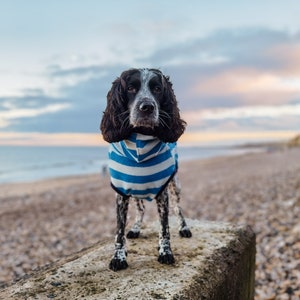 Harbour Hounds Sea Blue/Sea Salt Dog Drying Robe Dog Drying Towel Dog Beach Towel image 2