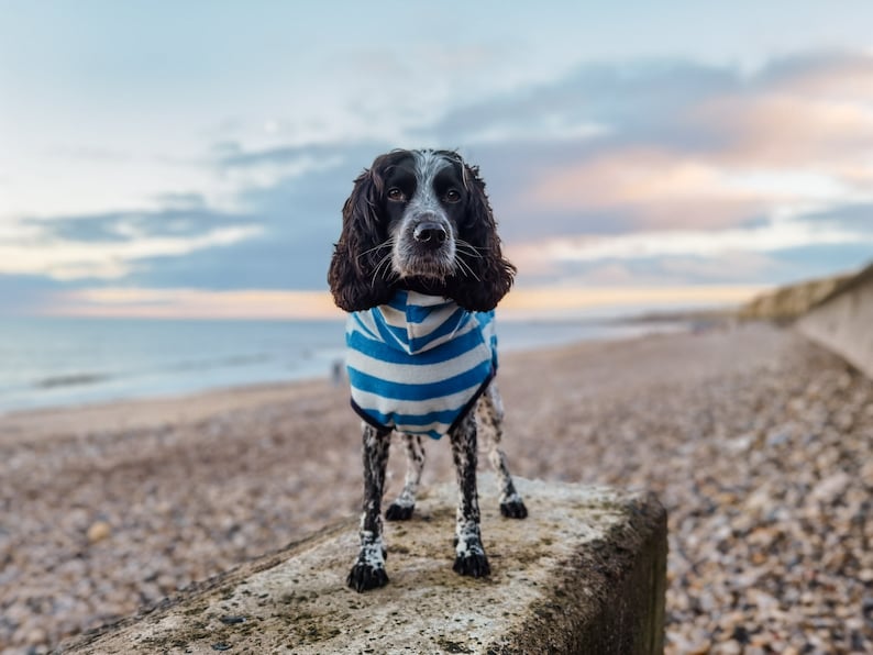 Harbour Hounds Sea Blue/Sea Salt Dog Drying Robe Dog Drying Towel Dog Beach Towel image 2