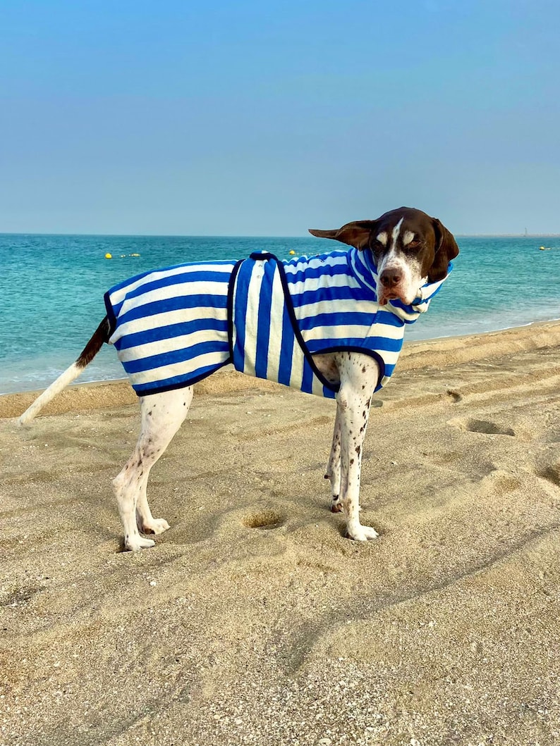 Harbour Hounds Sea Blue/Sea Salt Dog Drying Robe Dog Drying Towel Dog Beach Towel image 1
