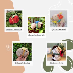 Pu&ograve; includere: Una collezione di cinque figure di animali all'uncinetto, ciascuna esposta in una cornice in stile polaroid. Gli animali includono una fragola, due creature marroni e due capibara, ciascuno con accenti di colore e dettagli unici. L'immagine include i nomi utente Instagram dei creatori.