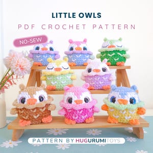No-Sew Crochet Owl Pattern: Amigurumi PDF Pattern immagine 2