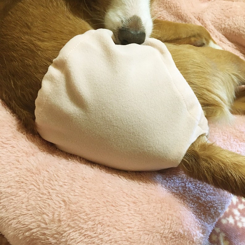 Dog Pants Sewing Pattern Etsy