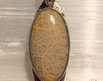 Fossilized Coral pendant