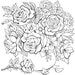 see more listings in the Adult Coloring Pages section