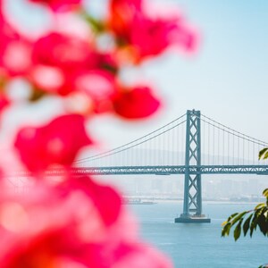 Ponte della baia di San Francisco