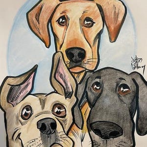 3 Pet Color Caricature Portrait