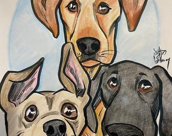 3 Pet Color Caricature Portrait