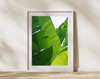 BANANA PLANT PRINT| Beyond Local - 'Native' | Botanical Print | Wall Art | Jungalow Print | Digital Print | Tropical Home | Home Decor