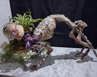 Oddity home decor, skeleton, stray cat, kitty