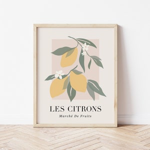 Les Citrons Print, PRINTABLE WALL ART, Fruit Illustration Digital Download, Lemon Wall Art Decor, Still Life Citrus French Exhibition Poster