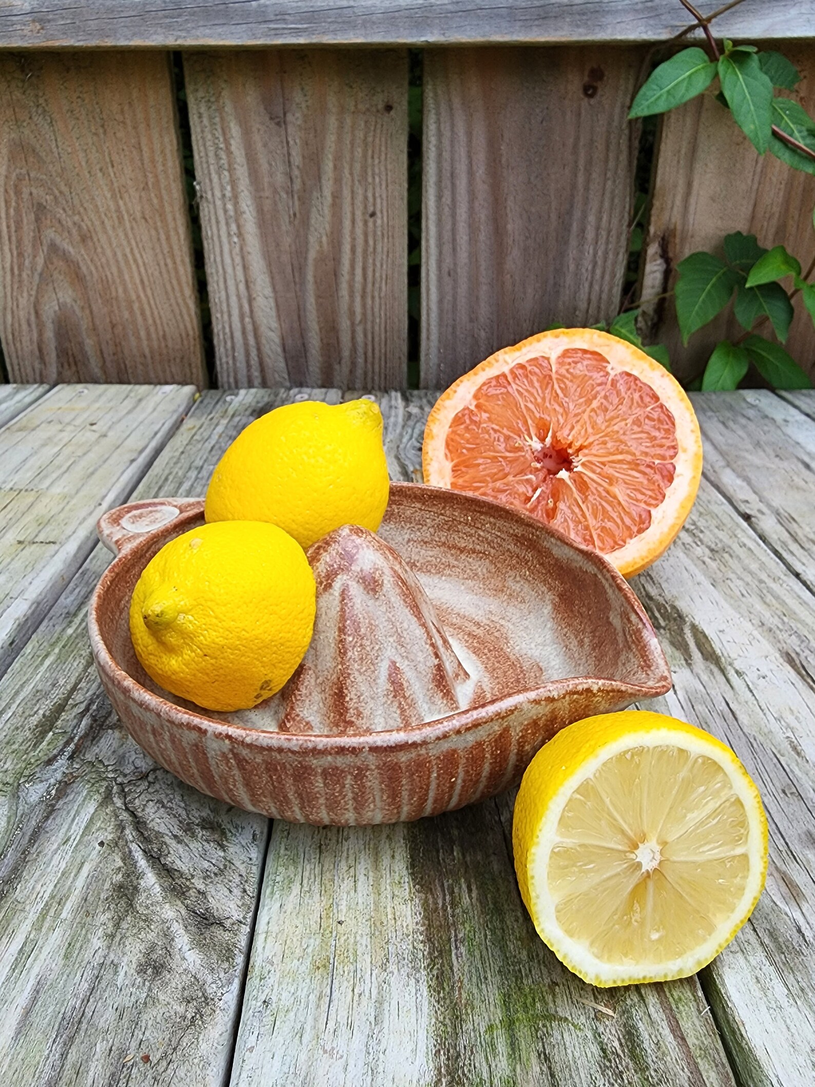 Stoneware Citrus Juicer Etsy