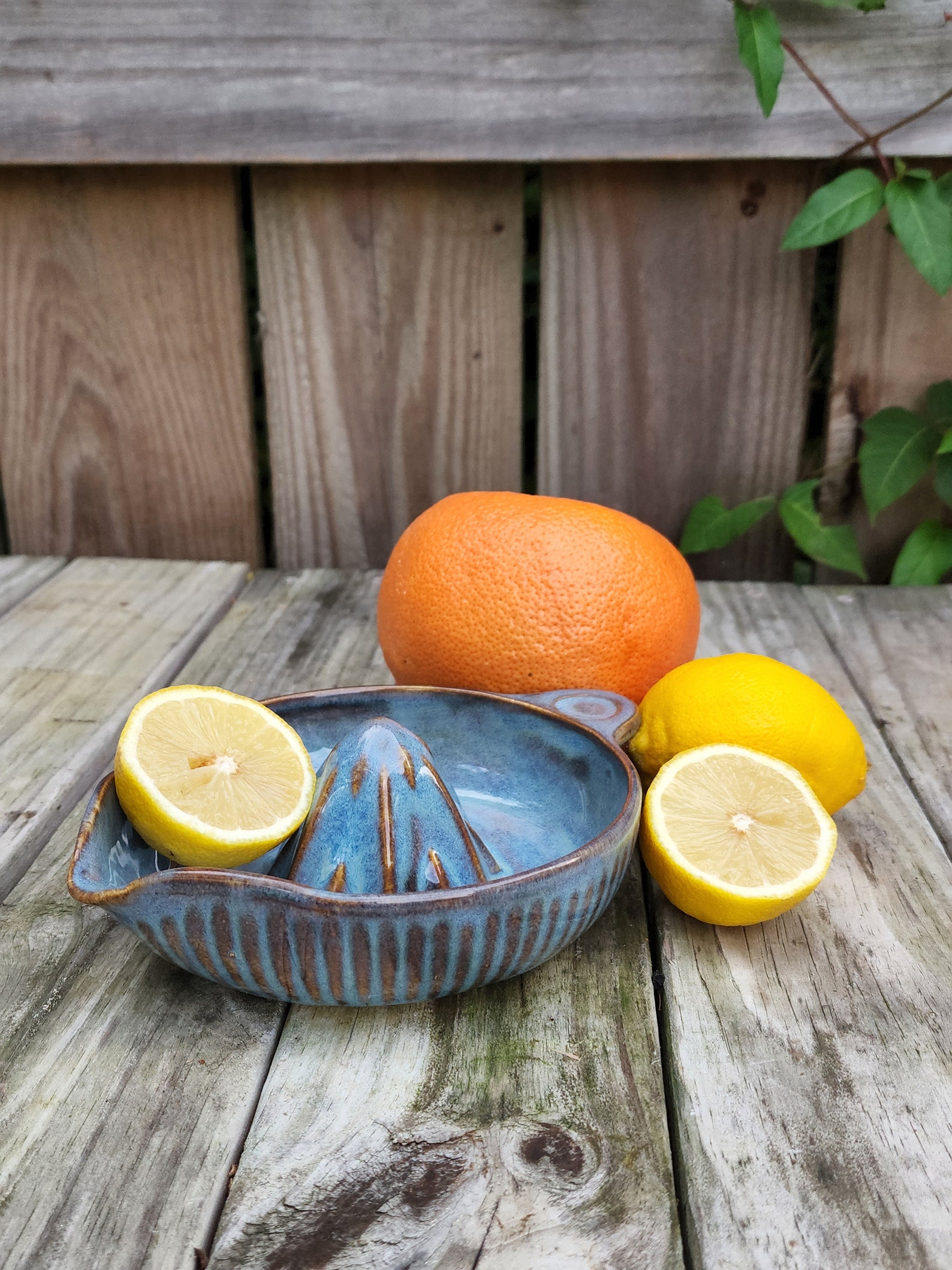 Stoneware Citrus Juicer Etsy