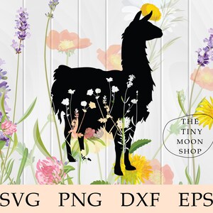 Floral Lama Silhouette Svg, Blume Lama Svg, Lama Svg, Wildflower Lama, Alpaka Svg, niedlich, Zentangle, Mandela, Mandala, Cricut, Svg, ClipArt