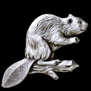 May include: A silver-toned beaver figurine sitting on a branch. The beaver is detailed with fur and has a large, flat tail.