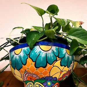 May include: A vibrant, hand-painted ceramic planter filled with a lush green pothos plant. The planter features a colorful floral design with turquoise, yellow, orange, and blue hues. The plant's leaves cascade over the rim, creating a lively display.