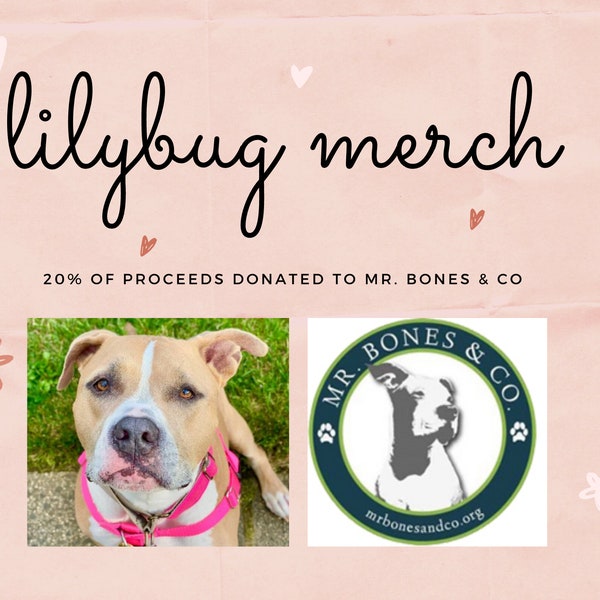 Lilybug Merchandise - 20% of proceeds donated to Mr. Bones and Co! Lilybug Decals, Sweatshirts, and Pocket Tees