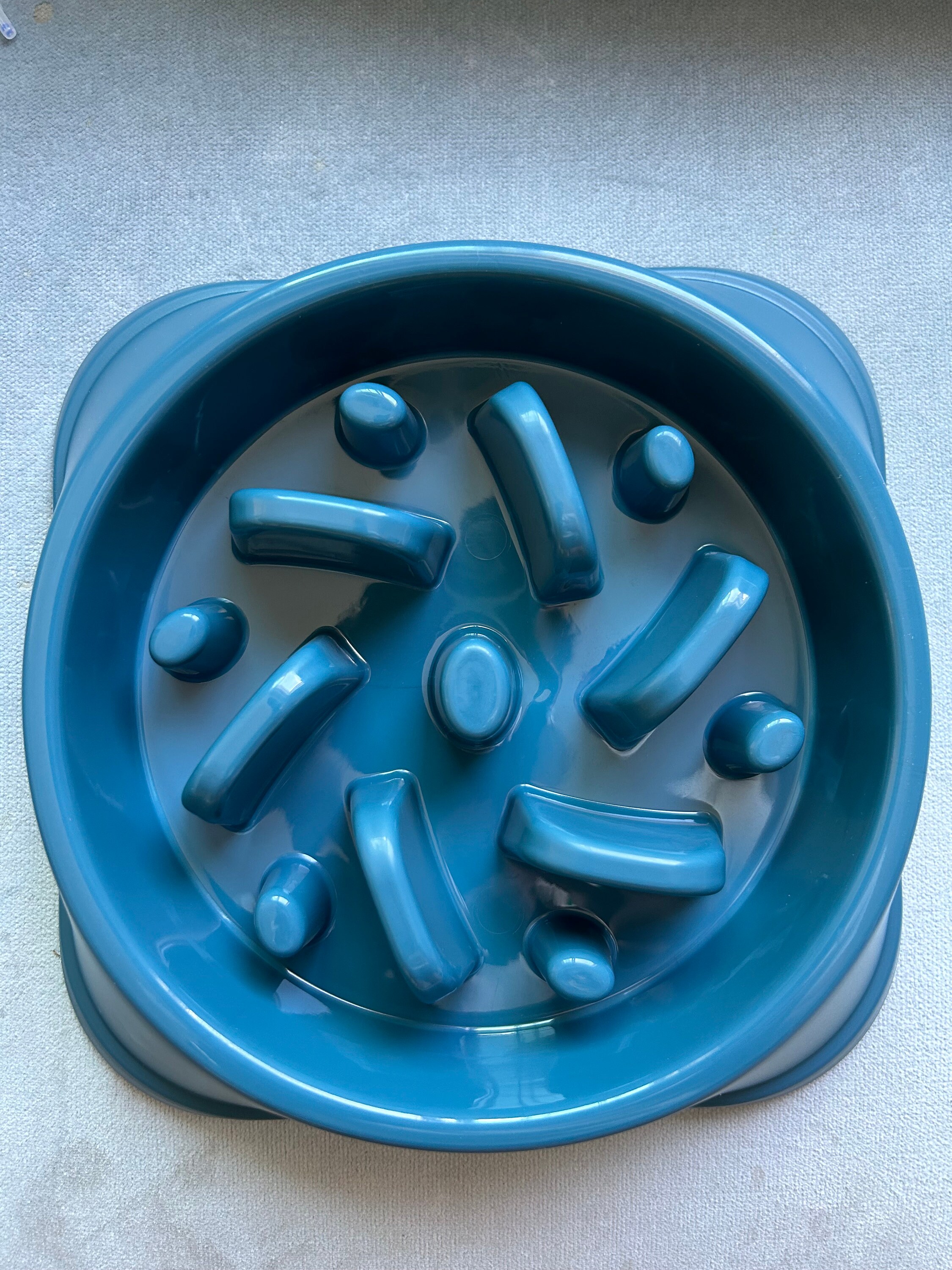 pet maze bowl