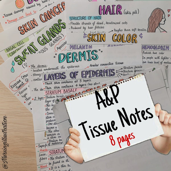 Tissue Notes - Human Anatomy and Physiology - Please read the item description carefully before purchasing