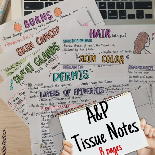 Respiratory Physiology Notes Anatomy and Physiology Etsy