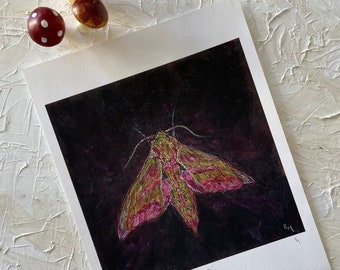 Elephant Hawk Moth Print