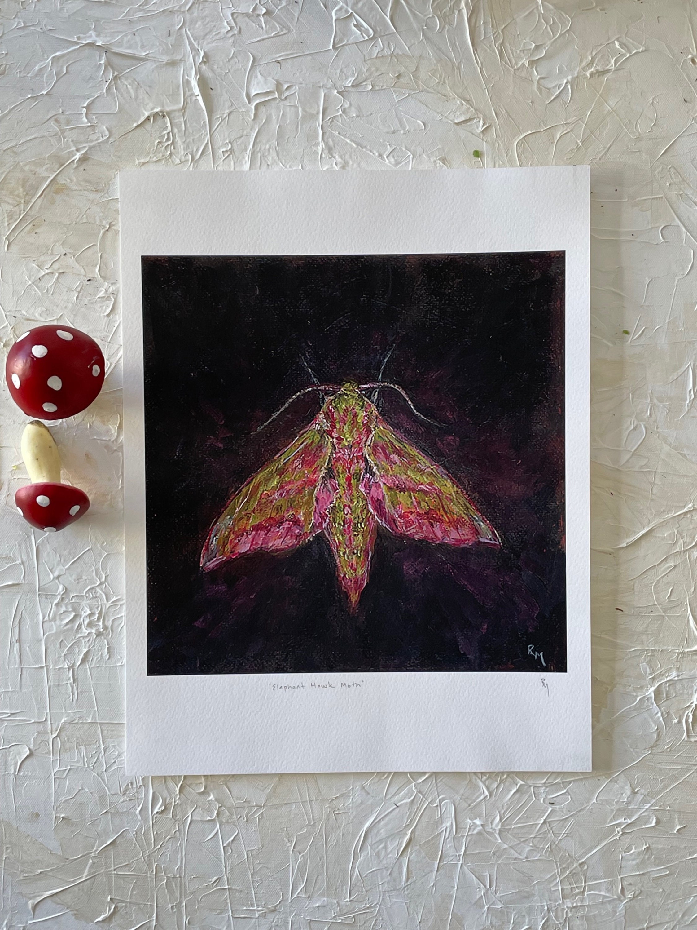 Art Print, Elephant Hawk Moth - Etsy