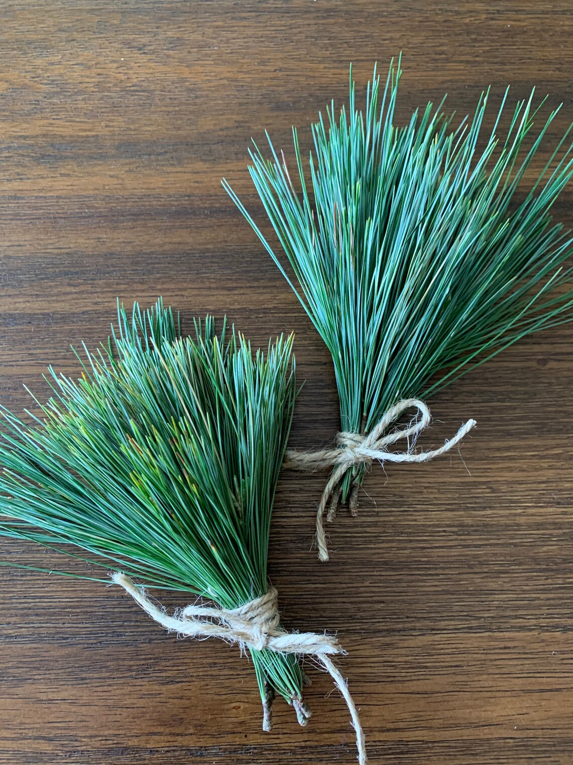 Fresh Eastern White Pine Needles Pine Needle Tea Suramin Fresh Etsy
