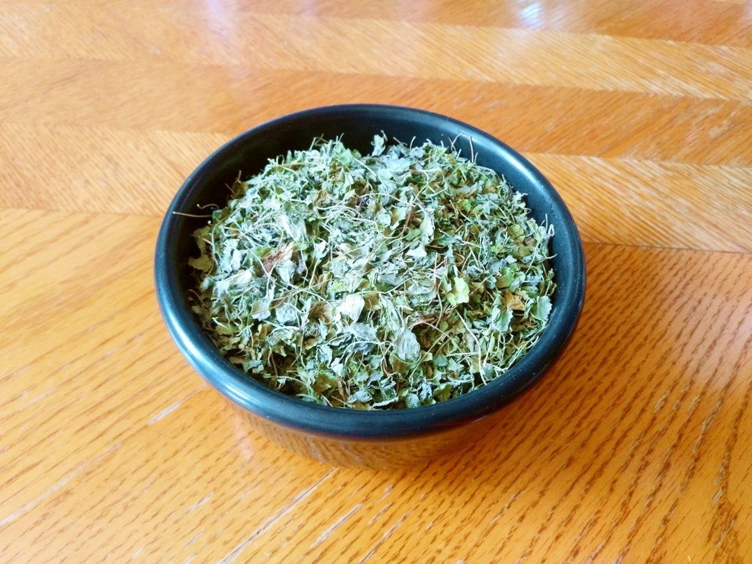 100 Natural Fenugreek Leaves kasoori Methi/hoja De La Etsy Canada