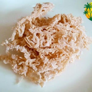 100% Natural Raw Irish Moss Sea Moss * Vegan Super Food Freshly Packed * 1 lbs (16oz)