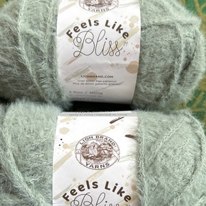 Lion Brand Yarns Feels Like Bliss ~ Color 173A Sage ~ Lot # 19403 ~ Bulky 5 ~ 3.5 oz / 100g ~ 109 yd / 100 m ~ 100% Nylon ~ Beautiful & Soft