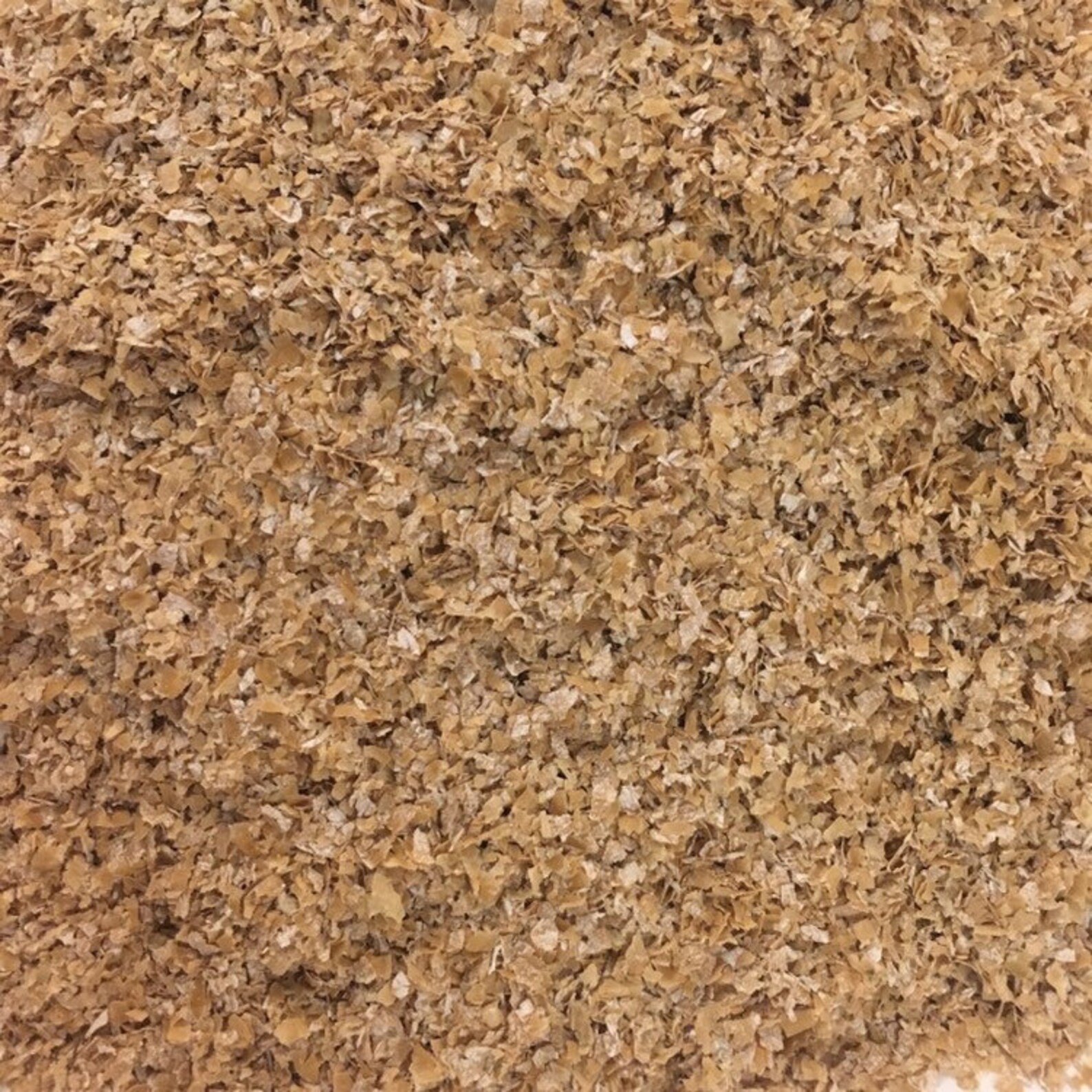 Wheat Bran for Mealworms Superworms Food and Bedding Etsy
