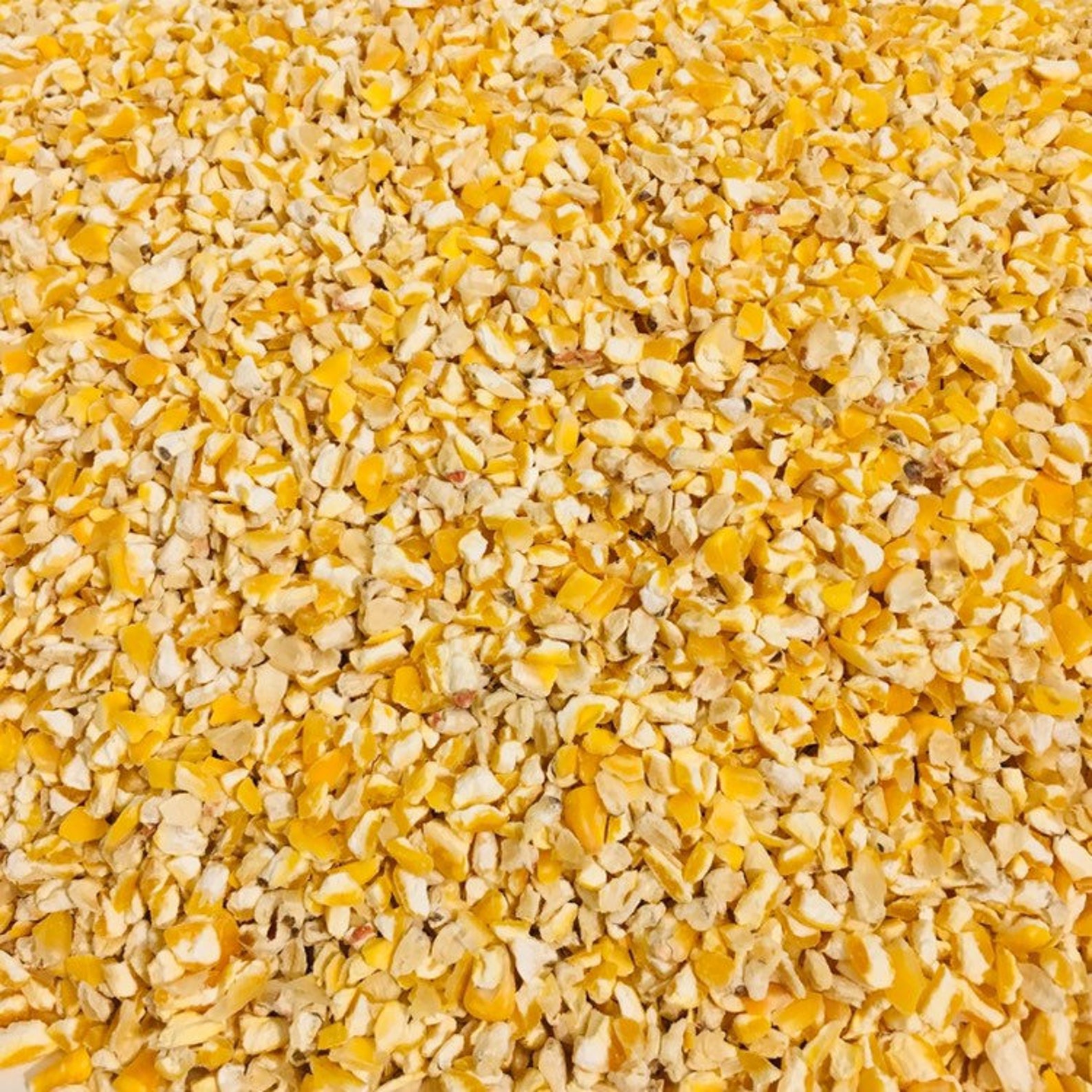 Cracked Corn for Chickens Birds Deer & Wildlife Feed Etsy