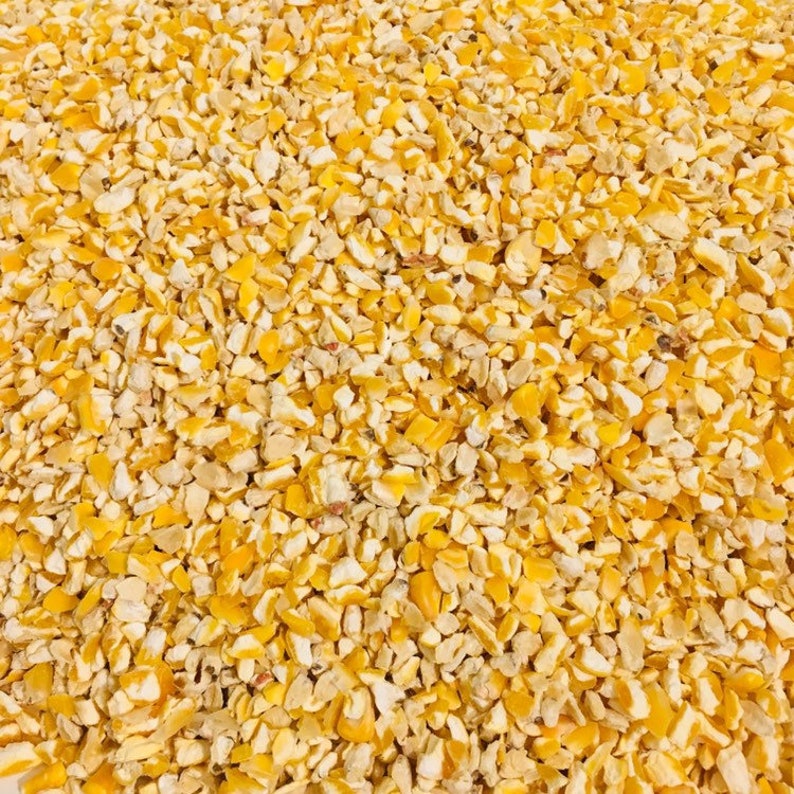 Cracked Corn For Chickens Birds Deer & Wildlife Feed | Etsy Cracked Corn Vs Whole Corn For Chickens
