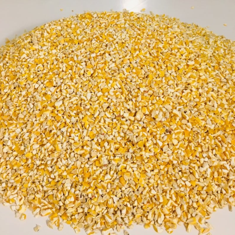 Cracked Corn For Chickens Birds Deer & Wildlife Feed | Etsy Cracked Corn Vs Whole Corn For Chickens