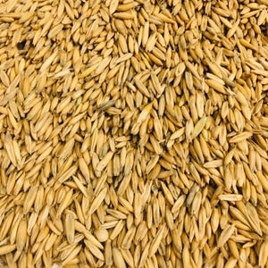 May include: A close-up view of a pile of oat groats, a type of whole grain, with a light brown colour.