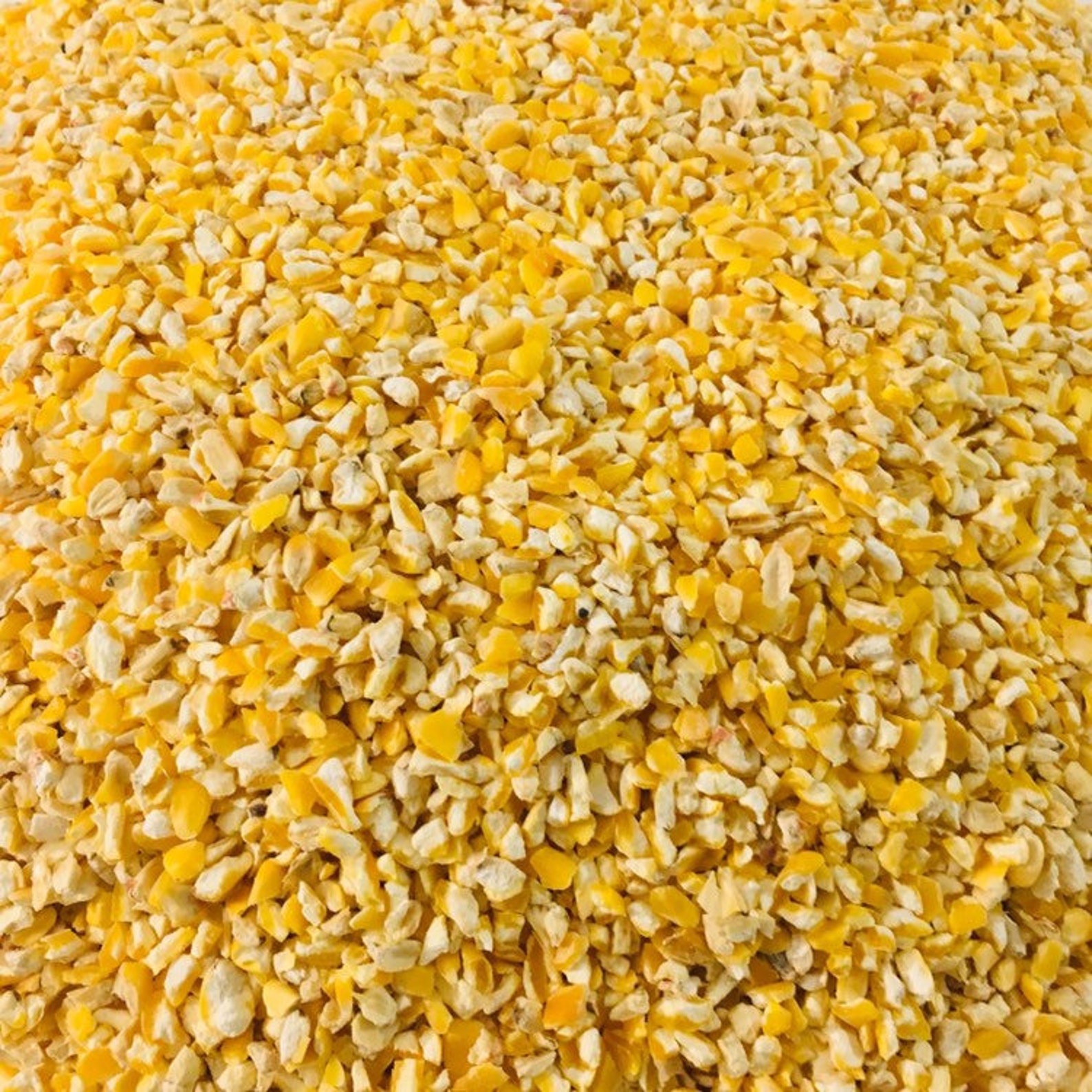 Corn for Chickens by Bernie Morris Corn for Chickens by Bernie Morris