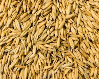 Whole Grain Oats Animal Feed Unhulled