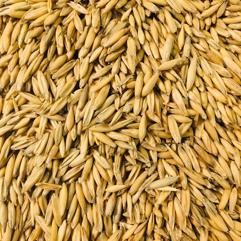 May include: A close-up image of a pile of oat groats. The oat groats are a light brown colour and have a slightly elongated shape.