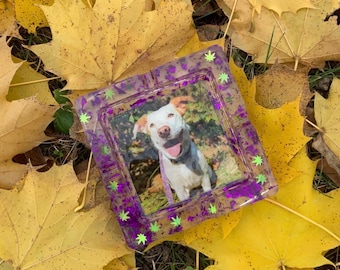 Pet Photo Ashtray, Pet Photo Dish, Custom Ashtray, Personalized Gifts, Aesthetic Room decor