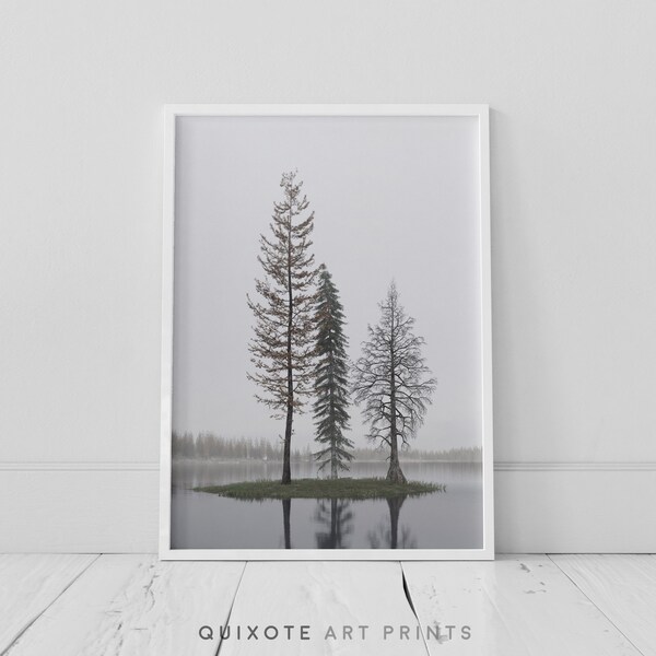 Misty Lake Wall Art