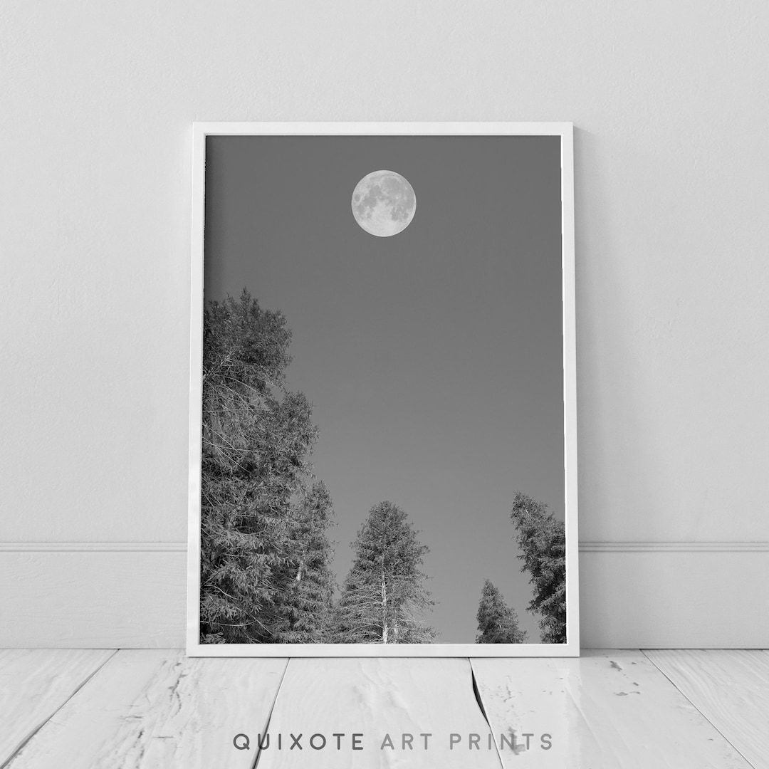 Moon and Trees Wall Art Black and White Printable Moon Etsy