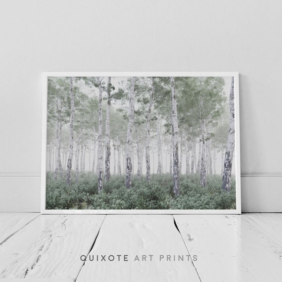 8x12 Rustic Nature Photography Wall Decor 11x14 Nature Photos 5x7 White Birch Tree Wall Art Pictures 8x10 Birch Trees Print