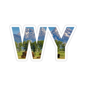 Può includere: Un adesivo con le lettere "WY" in bianco, con un'immagine panoramica di montagne, alberi e un campo con bisonti all'interno delle lettere.