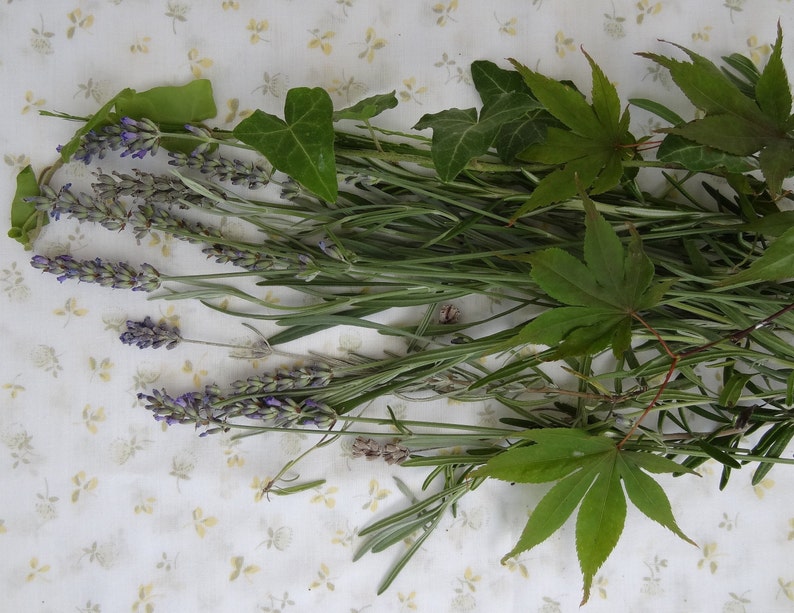 K&ouml;nnte beinhalten: Ein Strau&szlig; frischer Kr&auml;uter und Lavendelbl&uuml;ten, darunter Rosmarin, Efeu und Ahornbl&auml;tter.