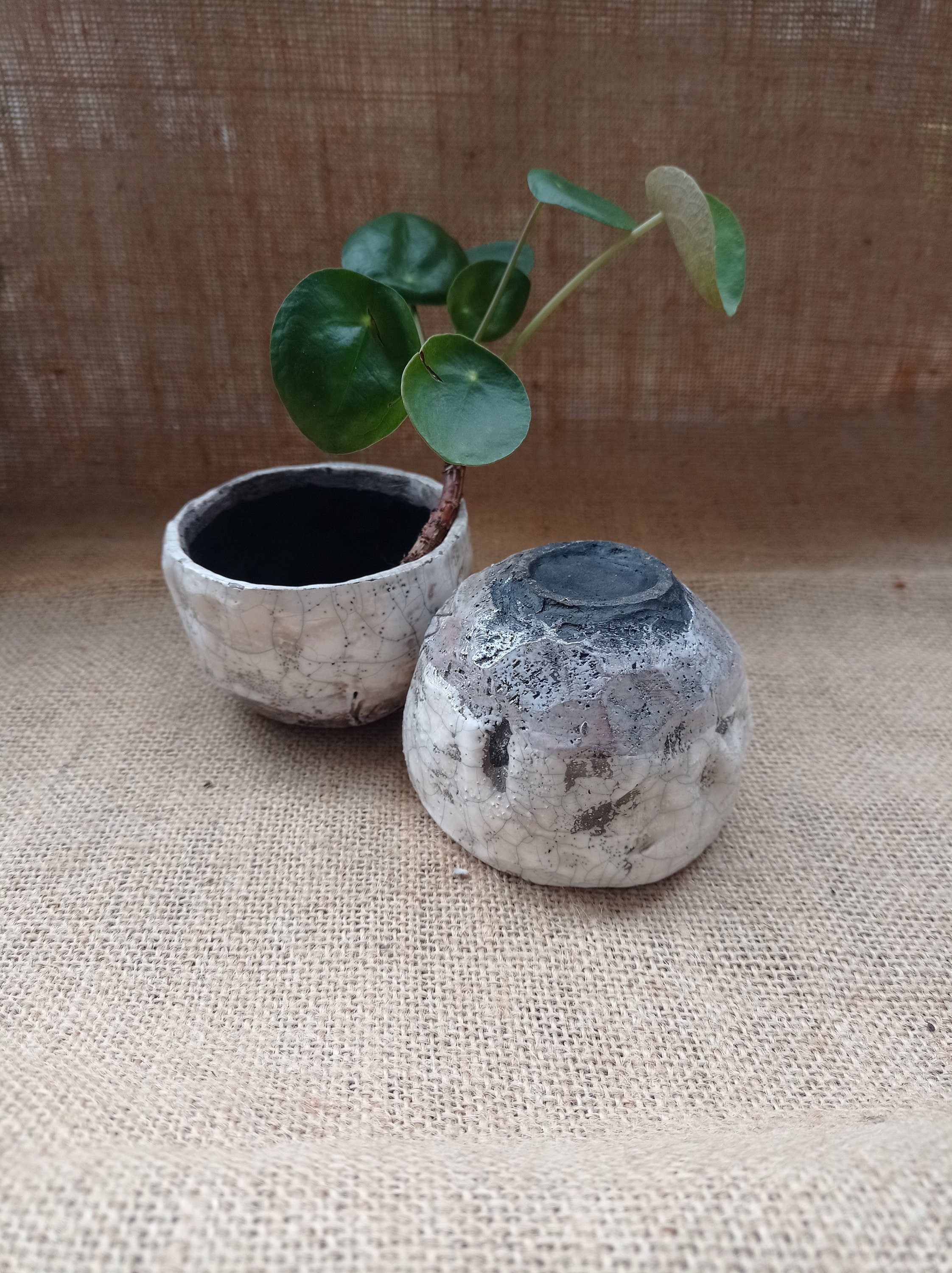 Petit Planter Céramique Raku Blanc, Petit Pot Pour Plante ou Objet, Cadeau Idéal