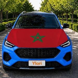 May include: A bright blue SUV featuring a red bonnet with a green five-pointed star emblem centred on it. The vehicle has a black front grille, sleek LED headlights, and a white number plate displaying the text Ylori in orange lettering.